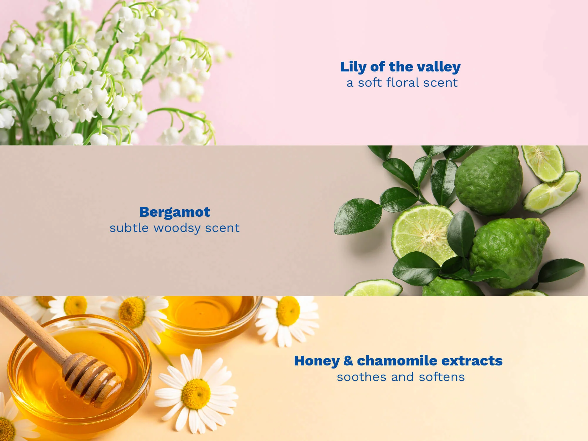 Musti scented water - Image 4